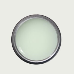 NEON POLYGEL ICED MINT HEMA FREE & TPO FREE