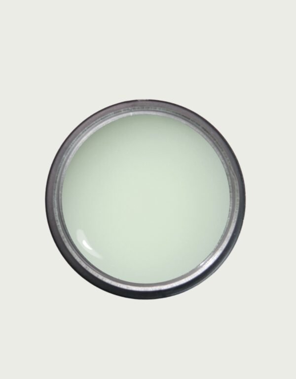 NEON POLYGEL ICED MINT HEMA FREE & TPO FREE